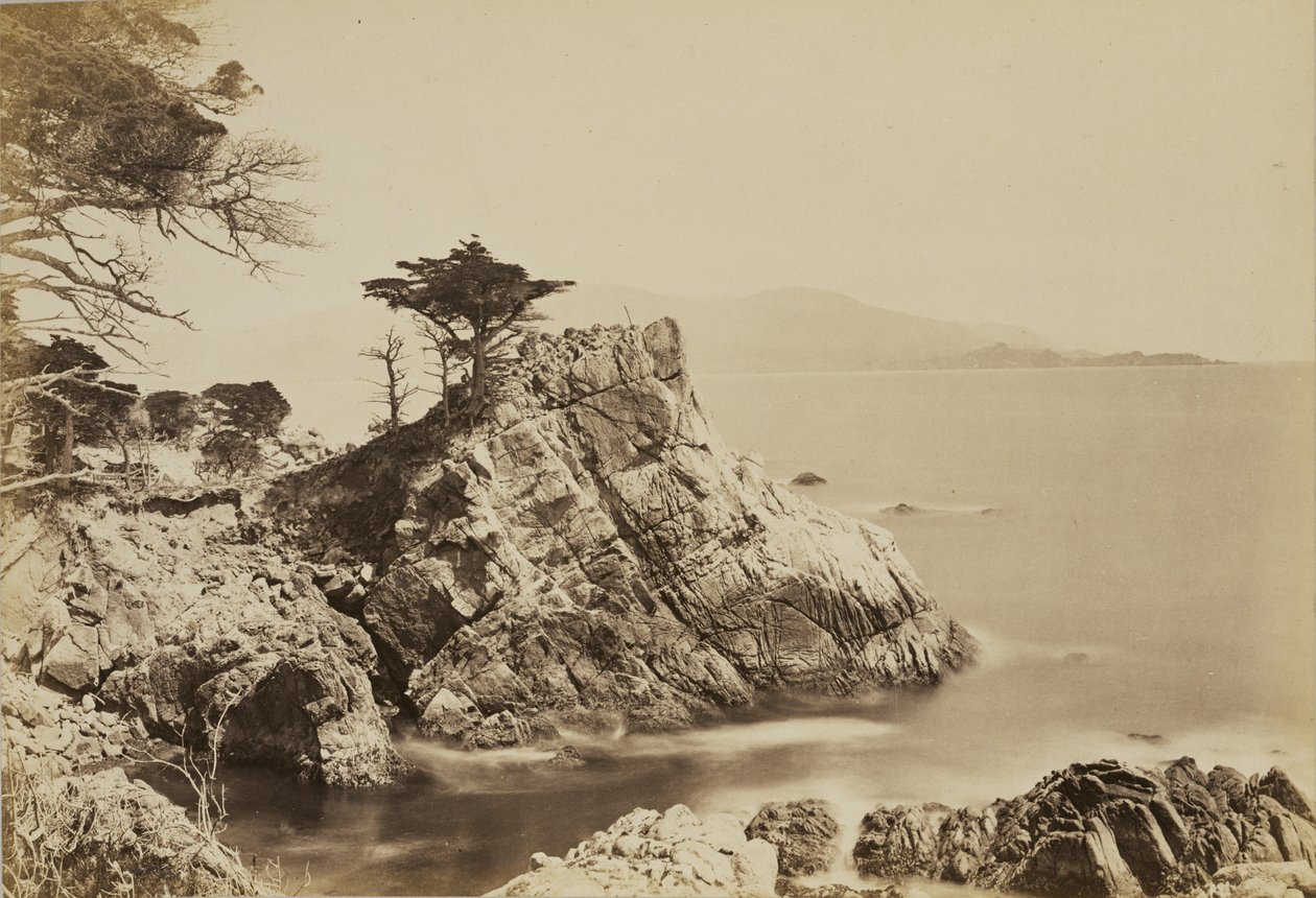 [Cypress Point] alkotó: Carleton Watkins