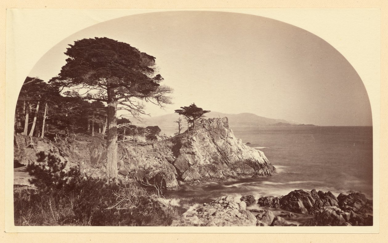 [Cypress Point a Cypress Drive felől, Monterey, Kalifornia] alkotó: Carleton Watkins