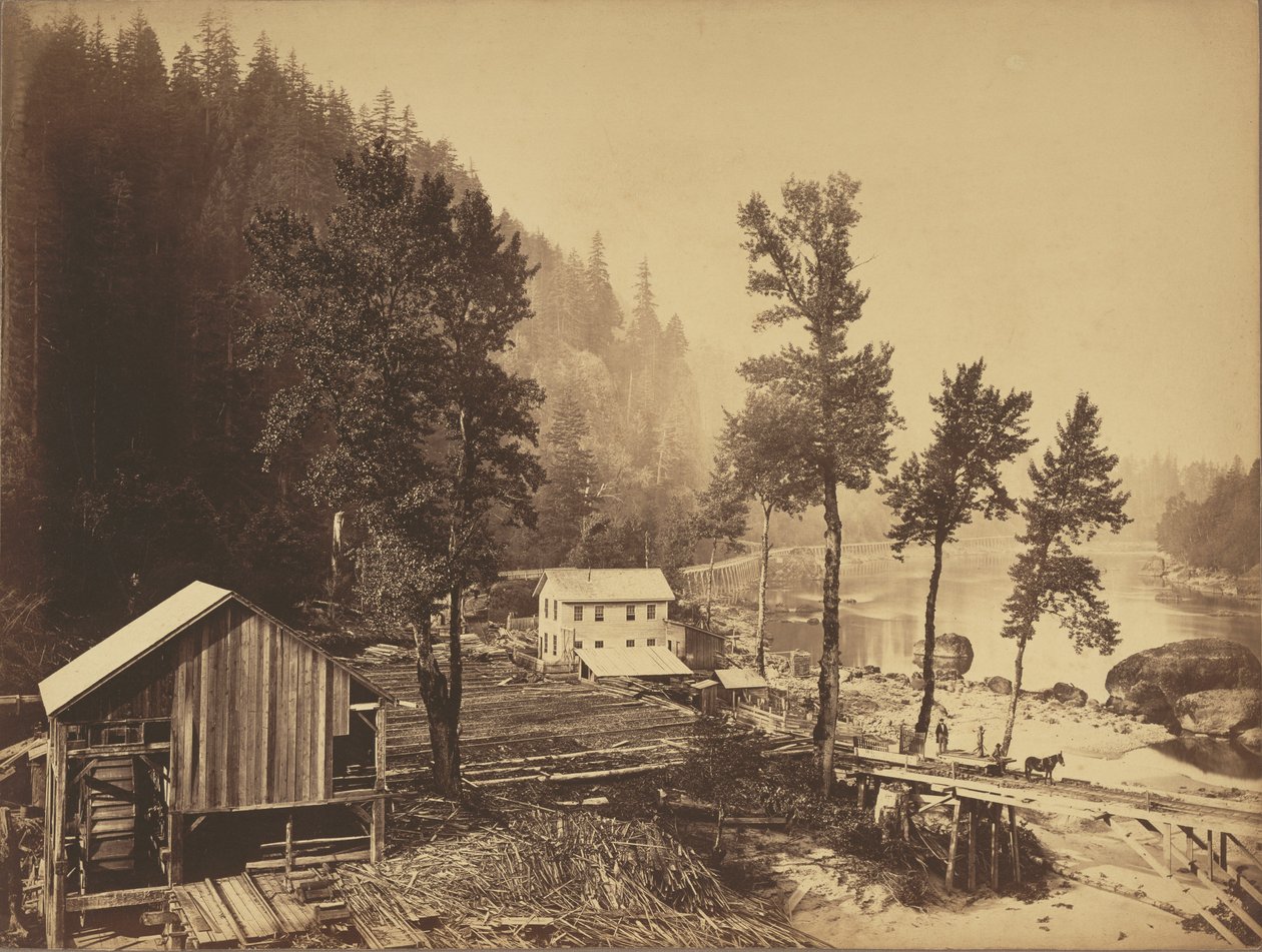 Eagle Creek, Columbia folyó alkotó: Carleton Watkins