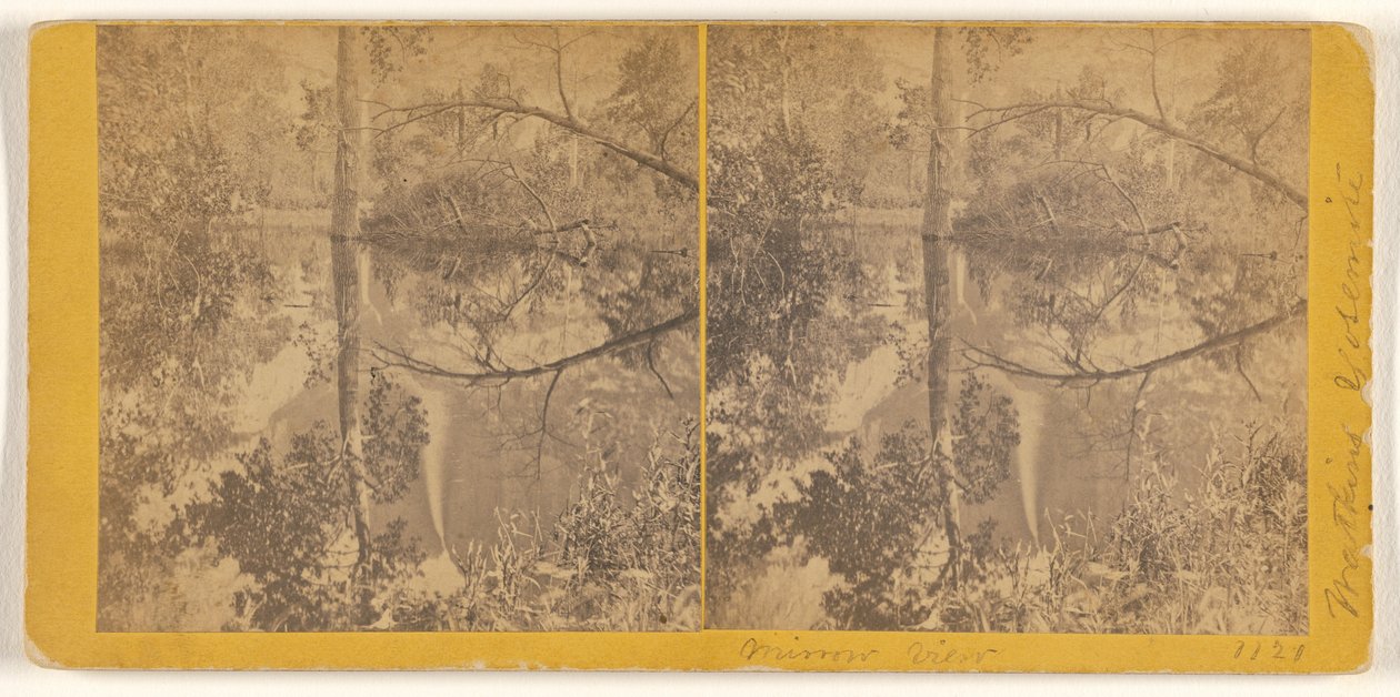 [Tükörkép, Yosemite-völgy, Mariposa megye, Kalifornia] alkotó: Carleton Watkins