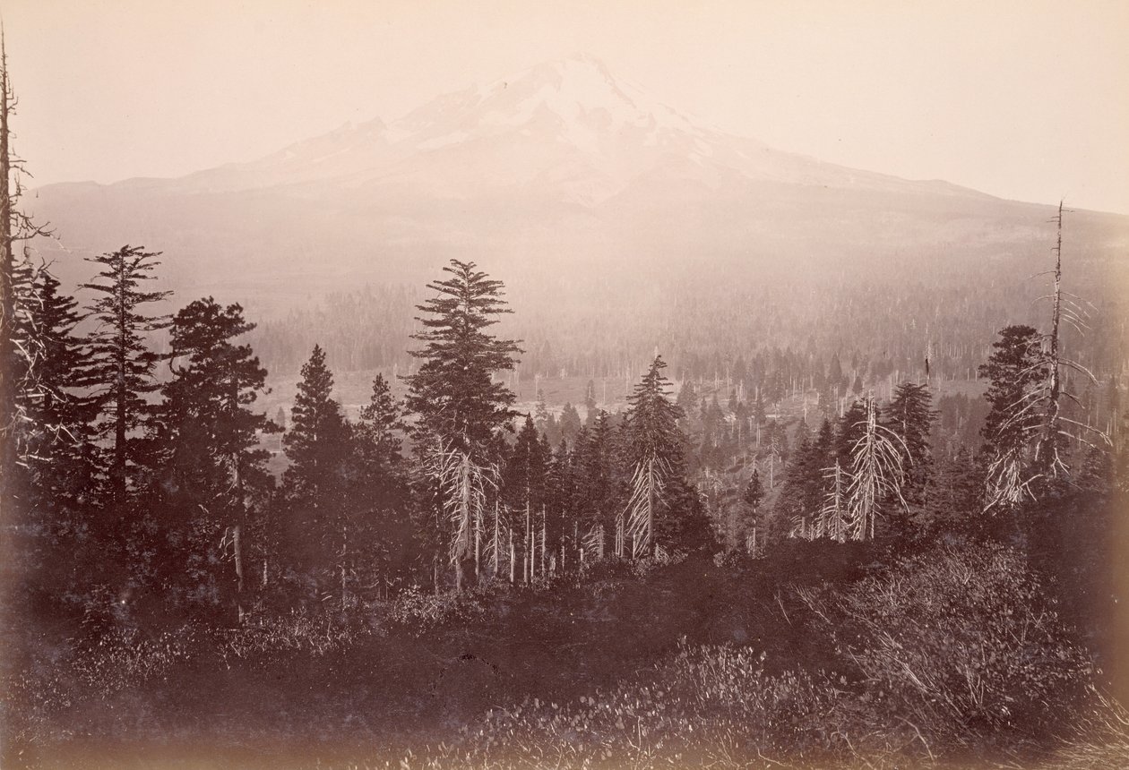 Mount Shasta alkotó: Carleton Watkins
