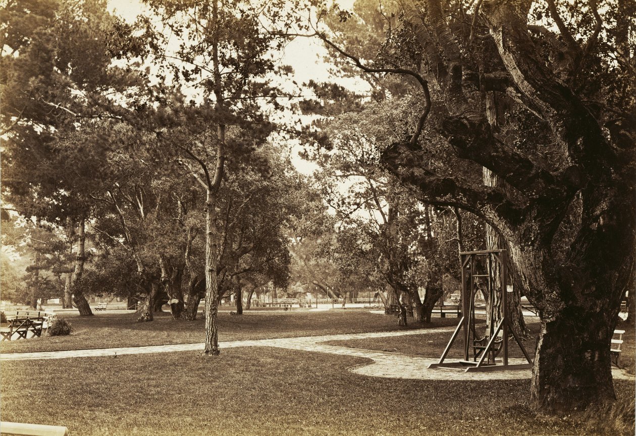 [Park a Hotel del Monte közelében, Monterey?] alkotó: Carleton Watkins