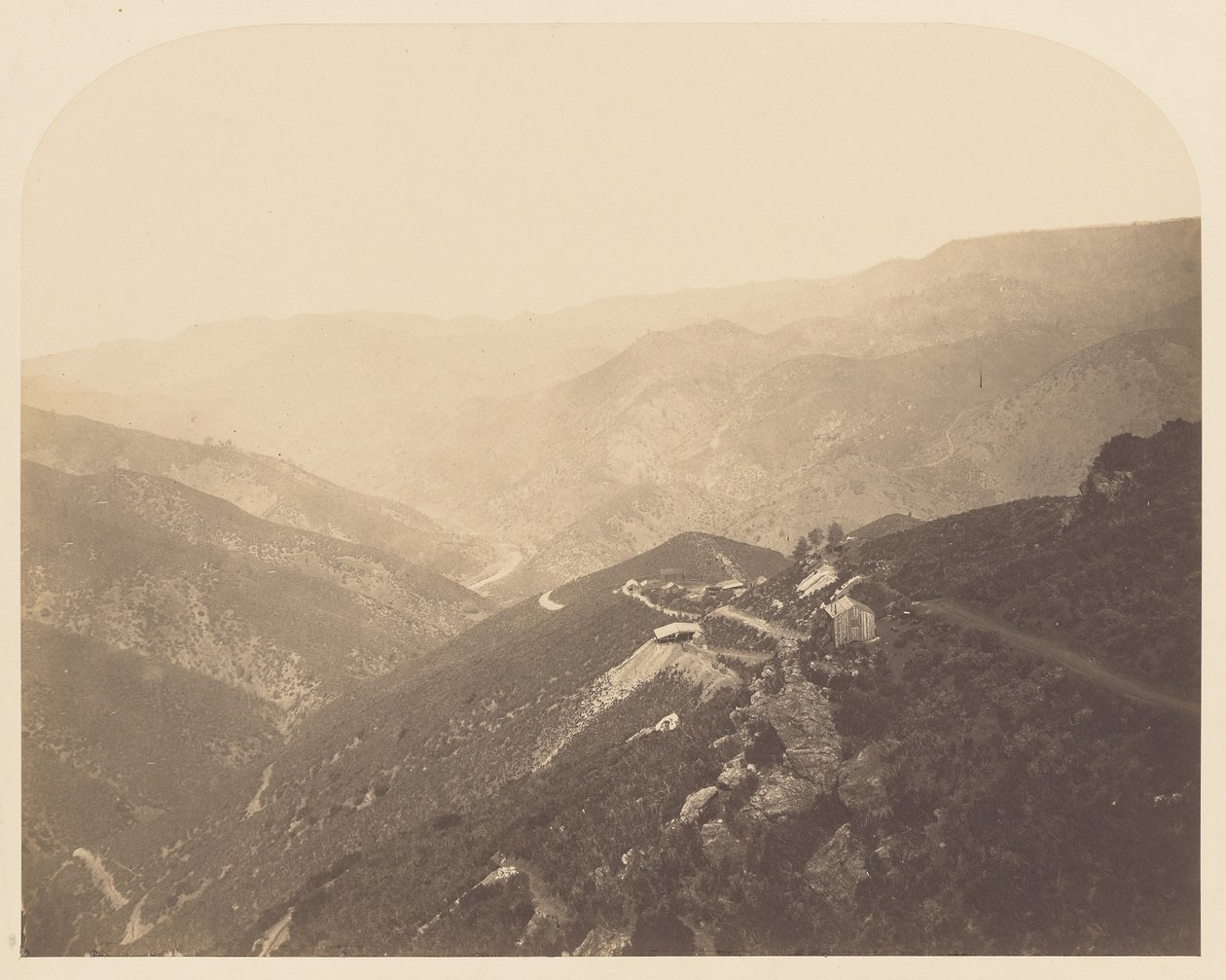[Fenyőfa bánya] alkotó: Carleton Watkins