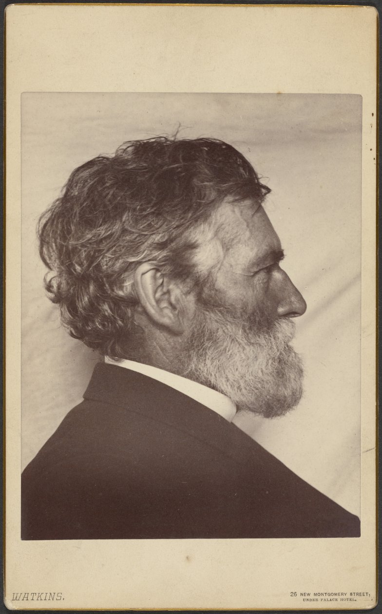George Davidson portréja alkotó: Carleton Watkins