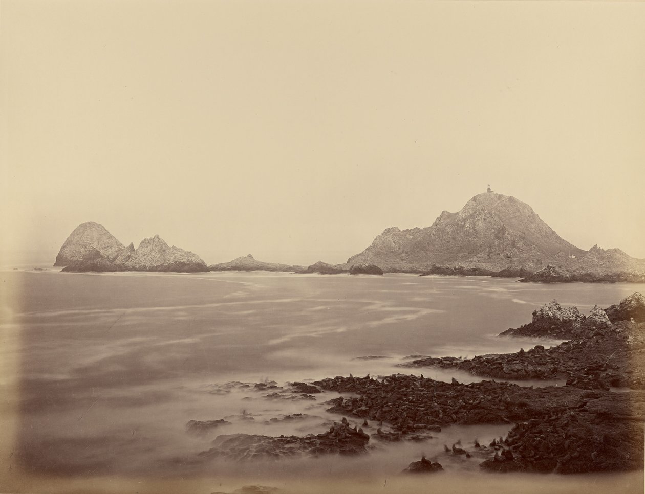 Seal Point a Farallones nyugati végétől alkotó: Carleton Watkins