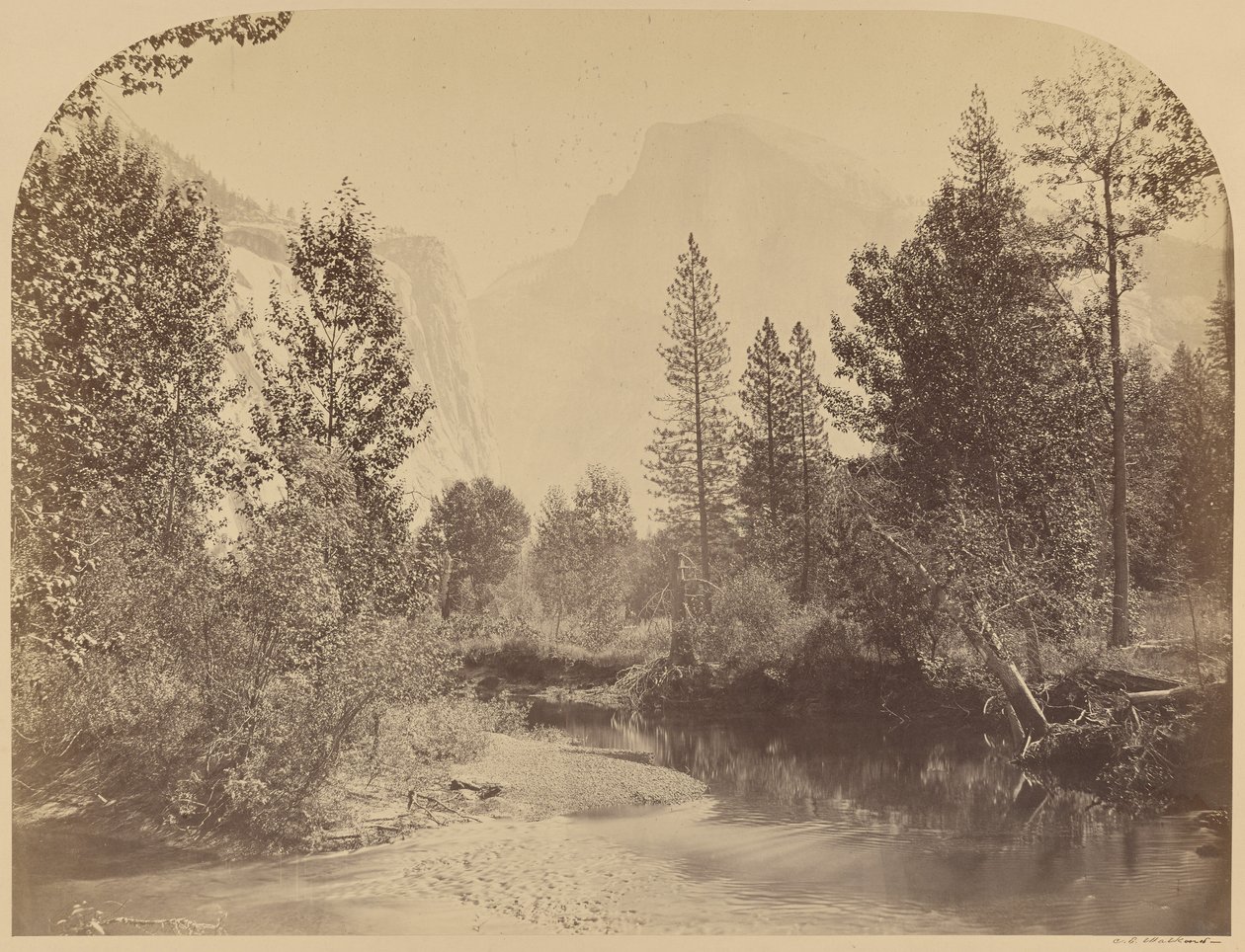 Tasayac - Half Dome - 4967 láb, Yo Semite alkotó: Carleton Watkins
