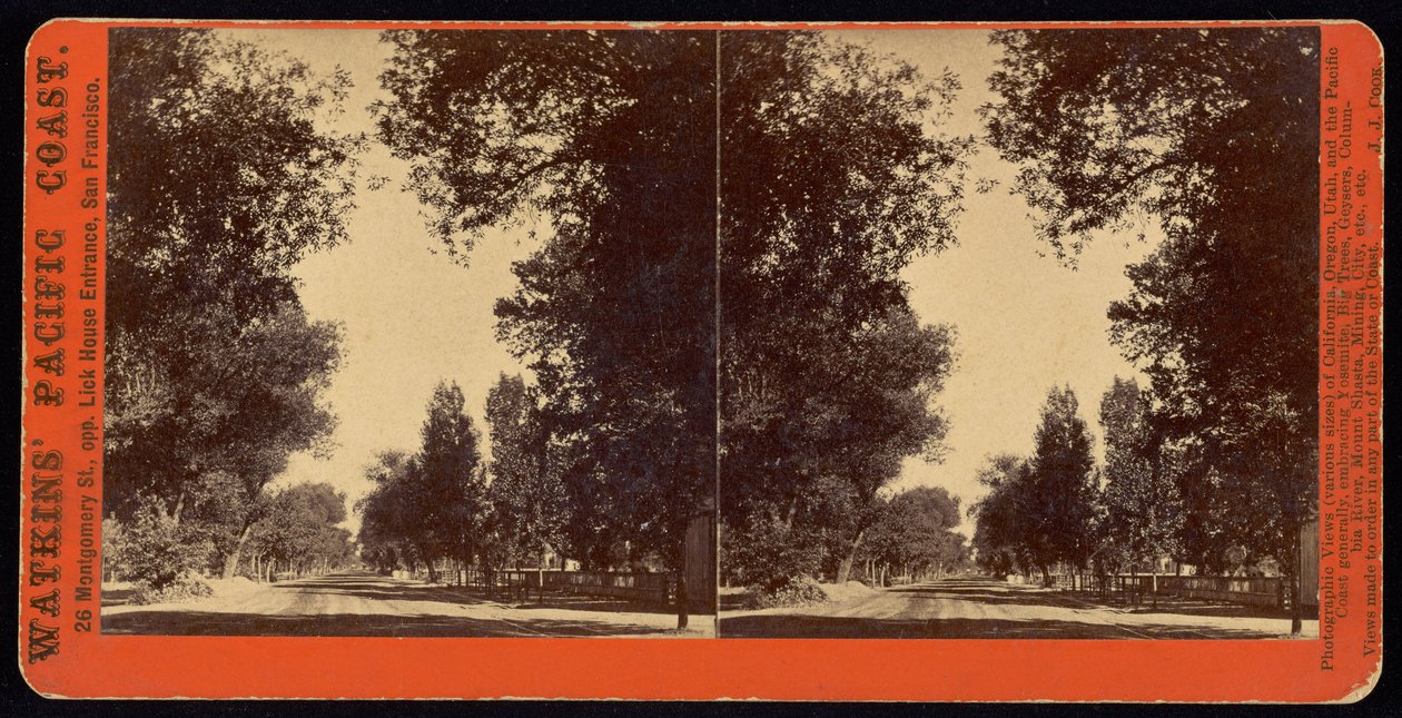 A kaliforniai San Gabriel fákkal szegélyezett utcaképe alkotó: Carleton Watkins