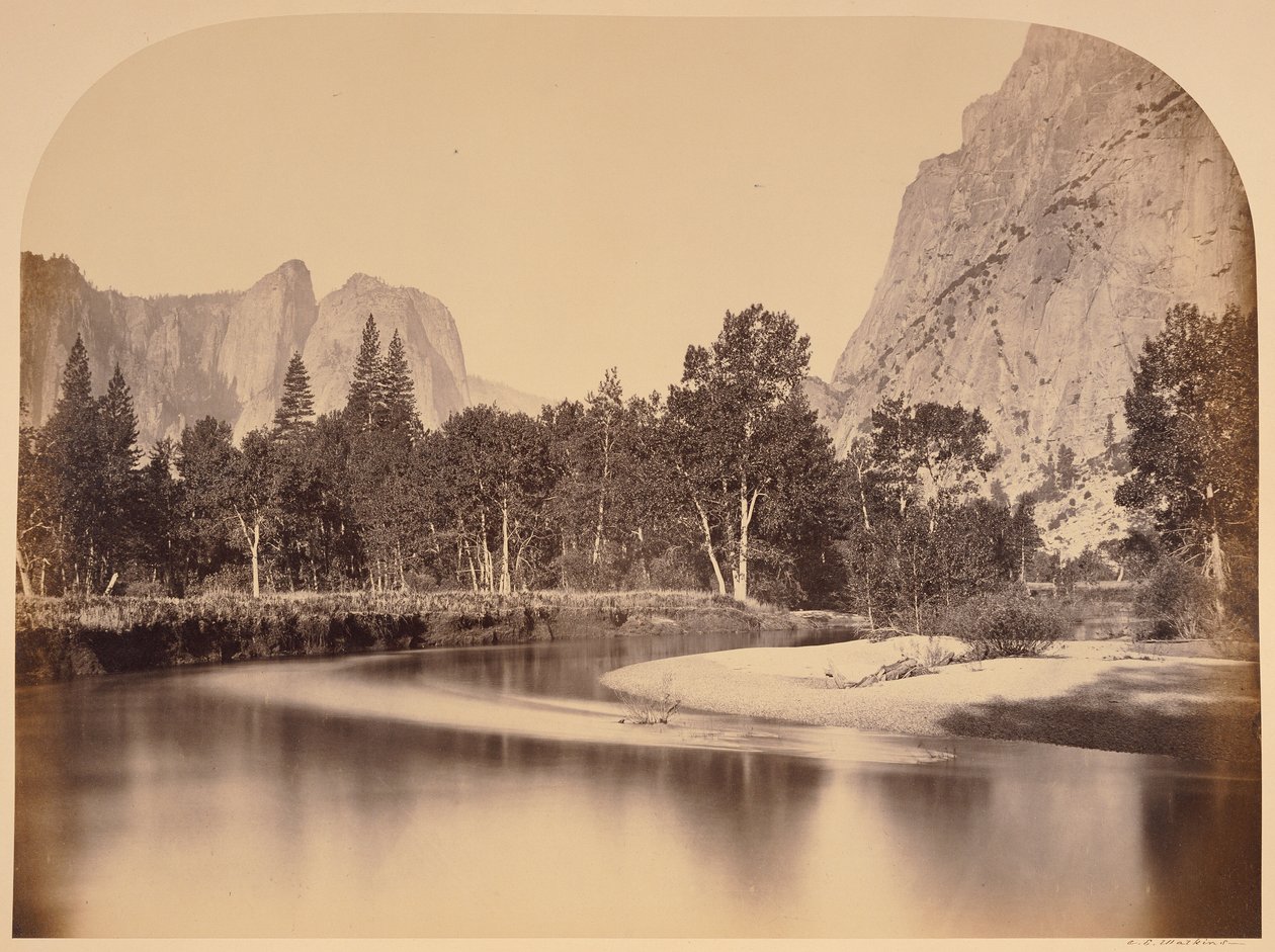 Kilátás Camp Grove-ból lefelé a völgybe - Yo Semite alkotó: Carleton Watkins