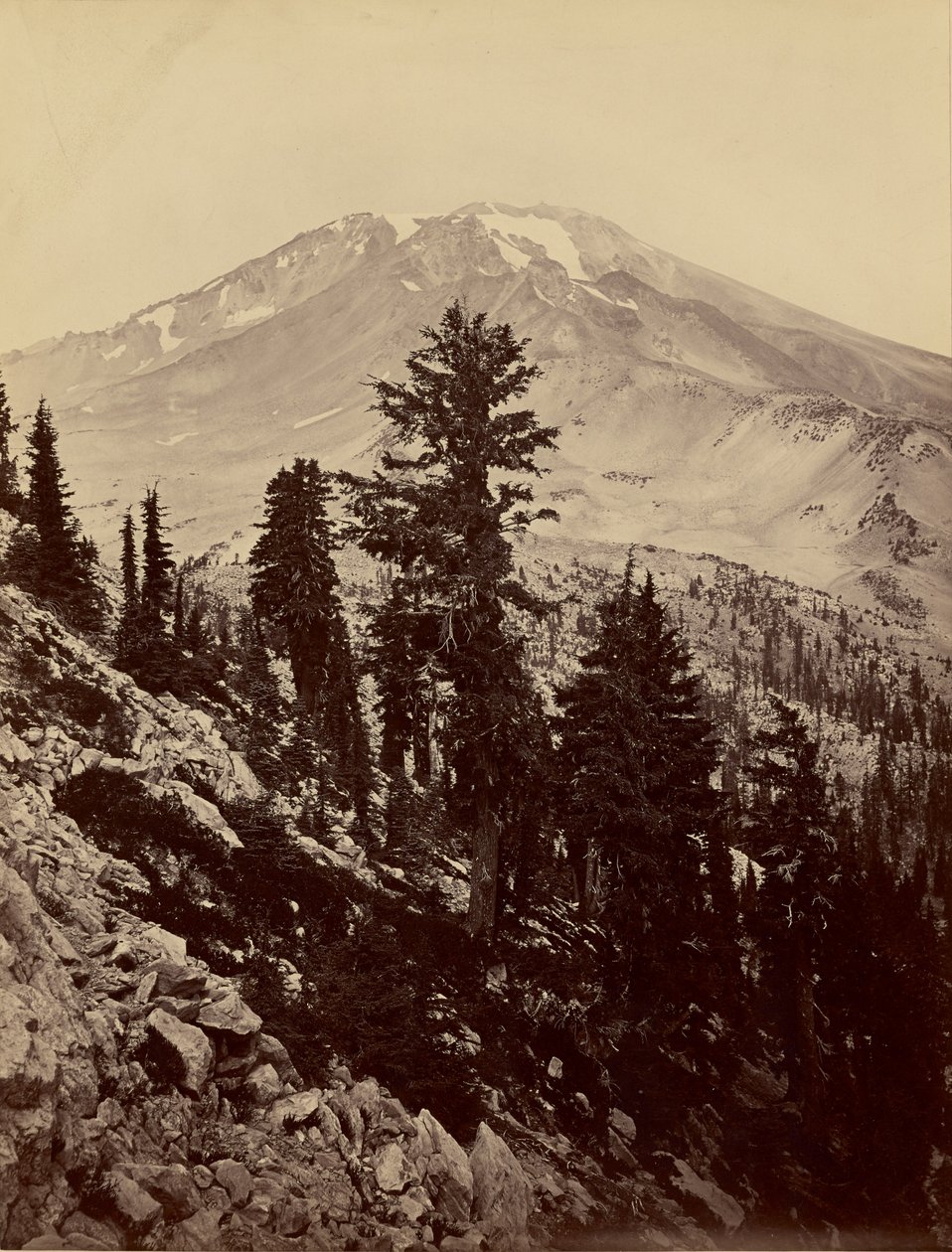 [Williamsonii, Shasta-hegy] alkotó: Carleton Watkins