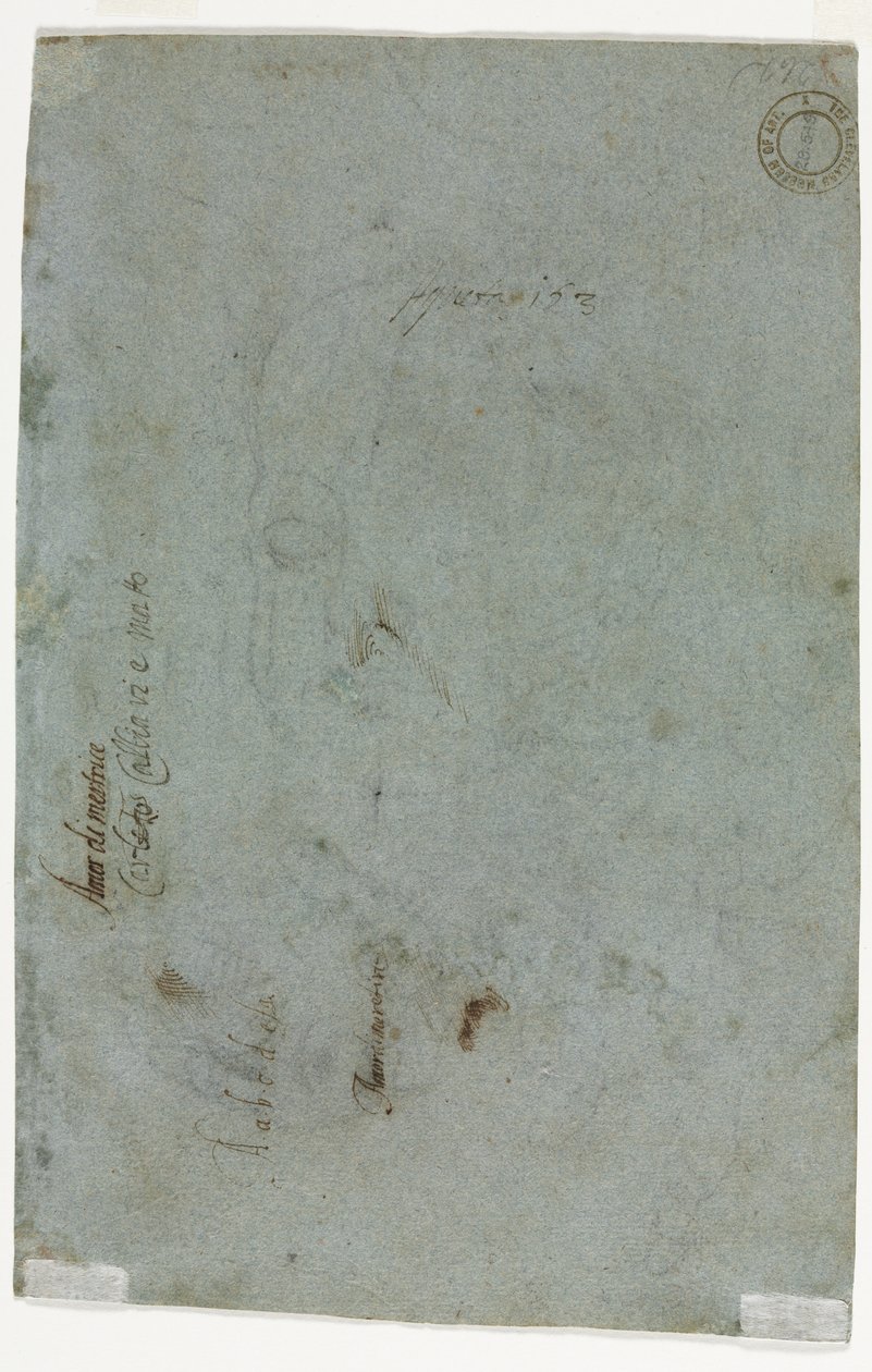 Vázlat egy gyermek fejéről, c. 1586. alkotó: Carletto Caliari
