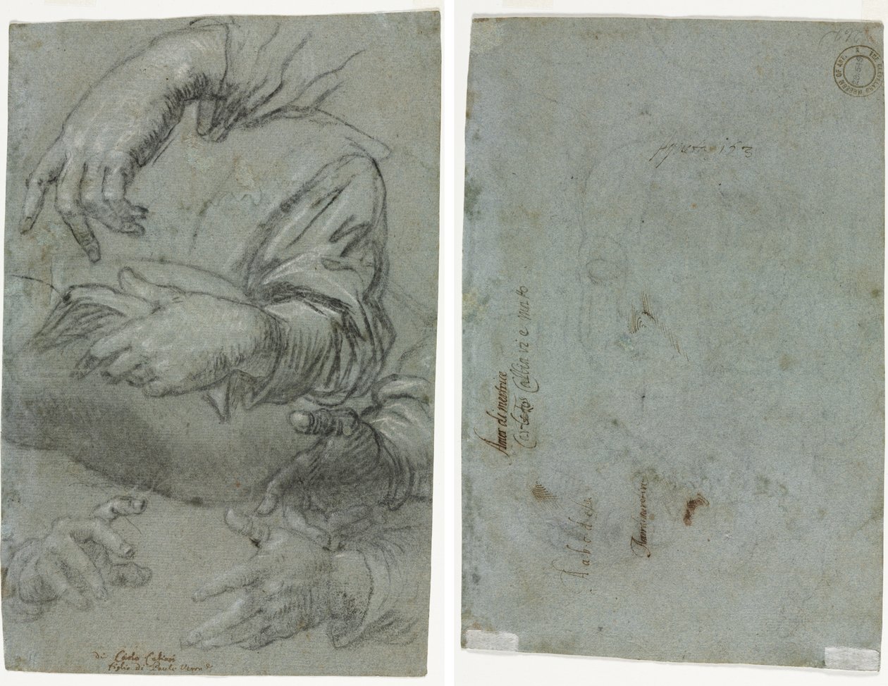 Studies of Hands (recto); Egy gyermek fejének vázlata (fordítva) alkotó: Carletto Caliari