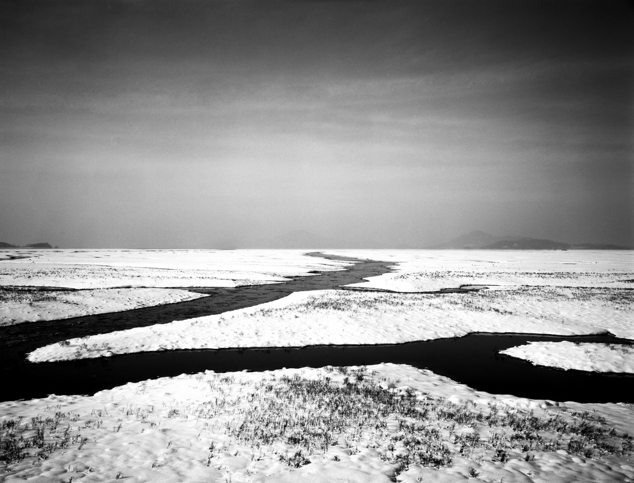 Örökké a tengeren, 2012 alkotó: Carli Choi