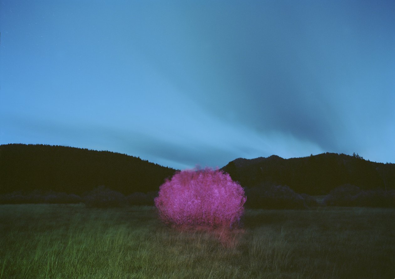Festés a sötétben, 2015 alkotó: Carli Choi