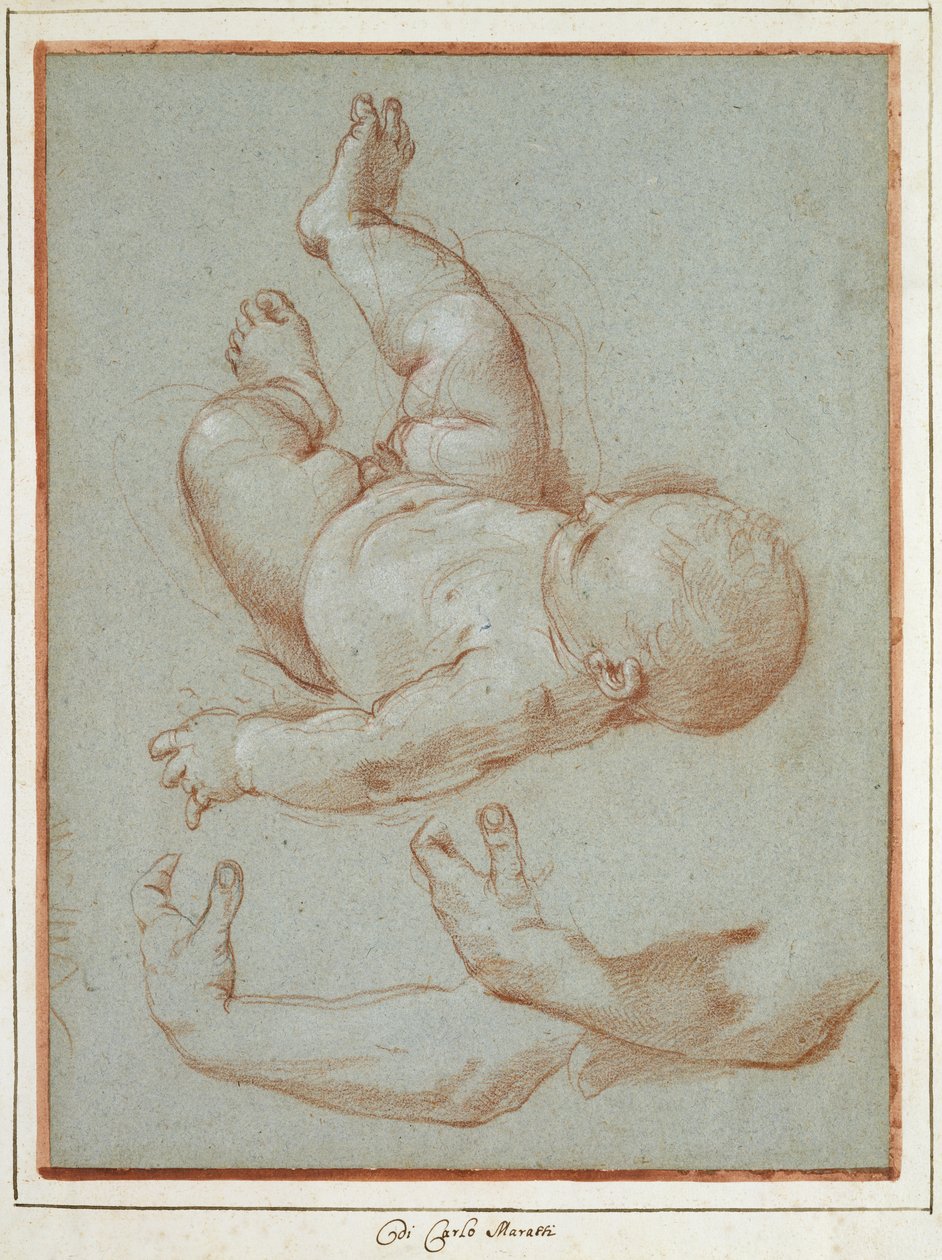 A Romulus csecsemő és két tanulmány egy férfi bal karjáról (kréta papíron) alkotó: Carlo Maratta or Maratti
