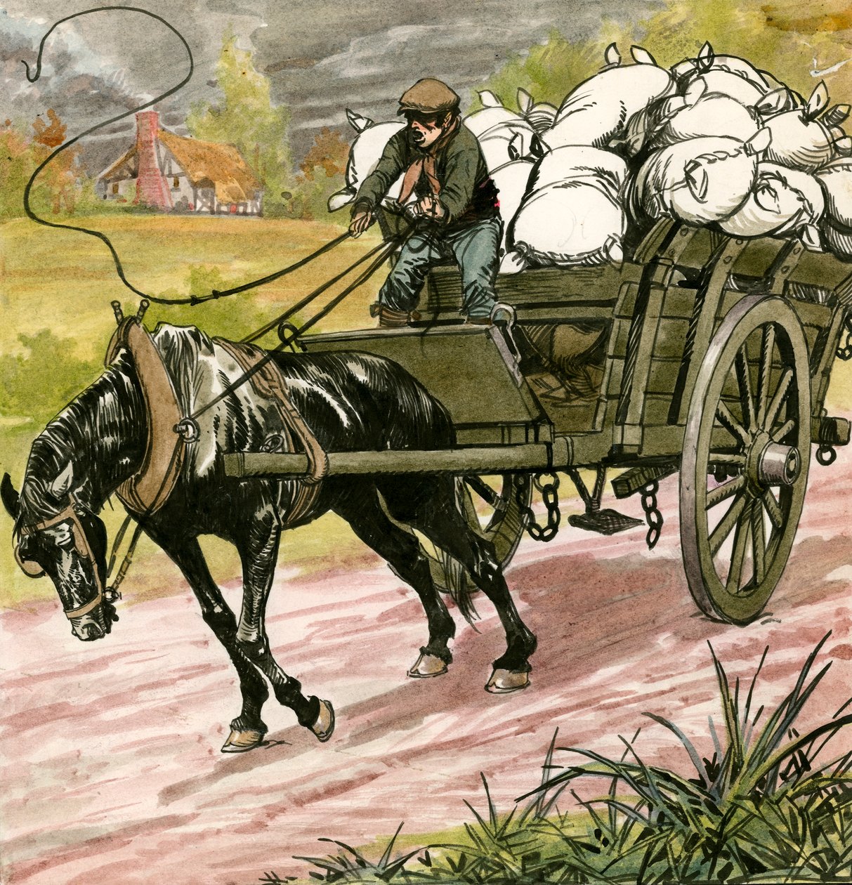 Fekete szépség alkotó: Carlos Gabriel Roume