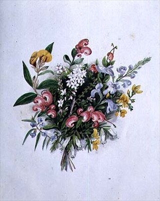 Nyári virágcsokor, 19. század alkotó: Caroline Louisa Meredith