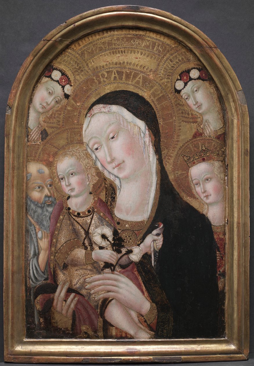 Szűz és gyermek Szent Jeromossal és Alexandriai Szent Katalinnal, c. 1450. alkotó: Carolino da Viterbo