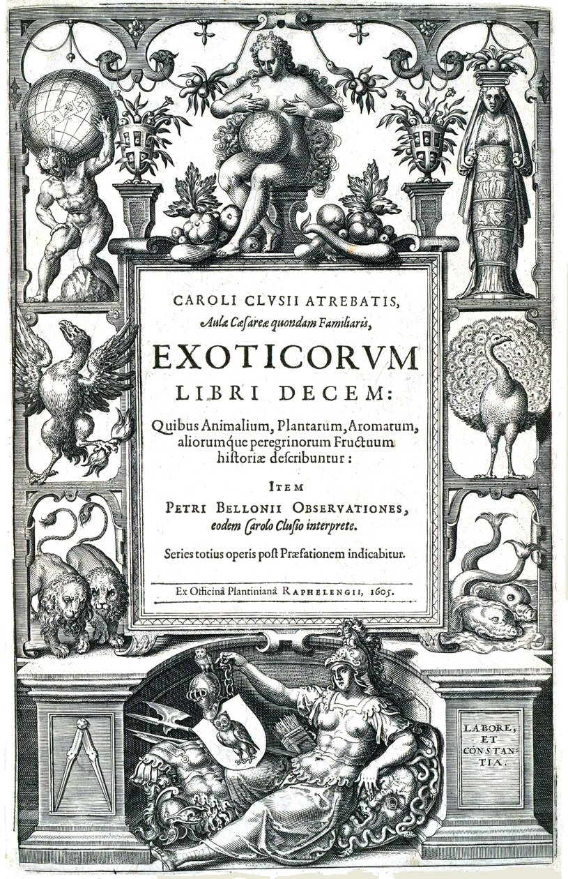 Tíz könyv az egzotikáról alkotó: Carolus Clusius