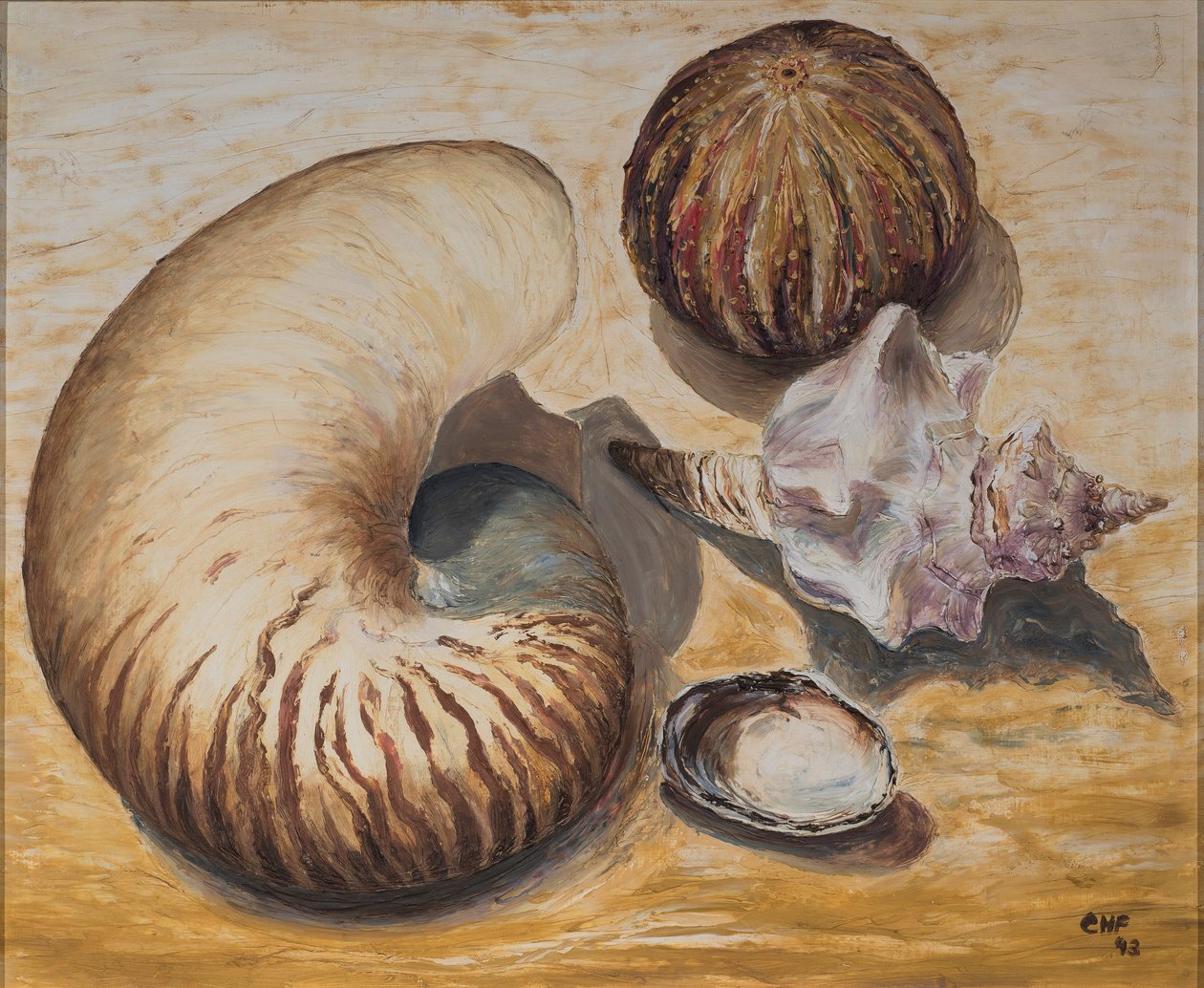 Tengeri kagylók, 1993 (olaj, papír) alkotó: Carolyn Hubbard Ford