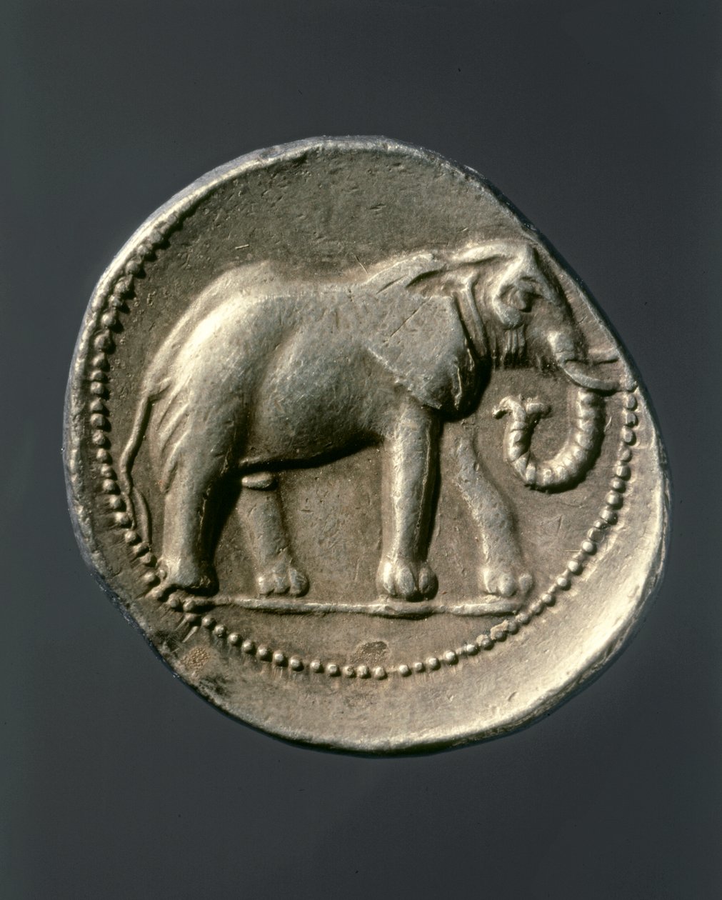 HANNIBAL Barca: Hannibál elefántját ábrázoló aranyérme (aranyérme) alkotó: Carthaginian Carthaginian
