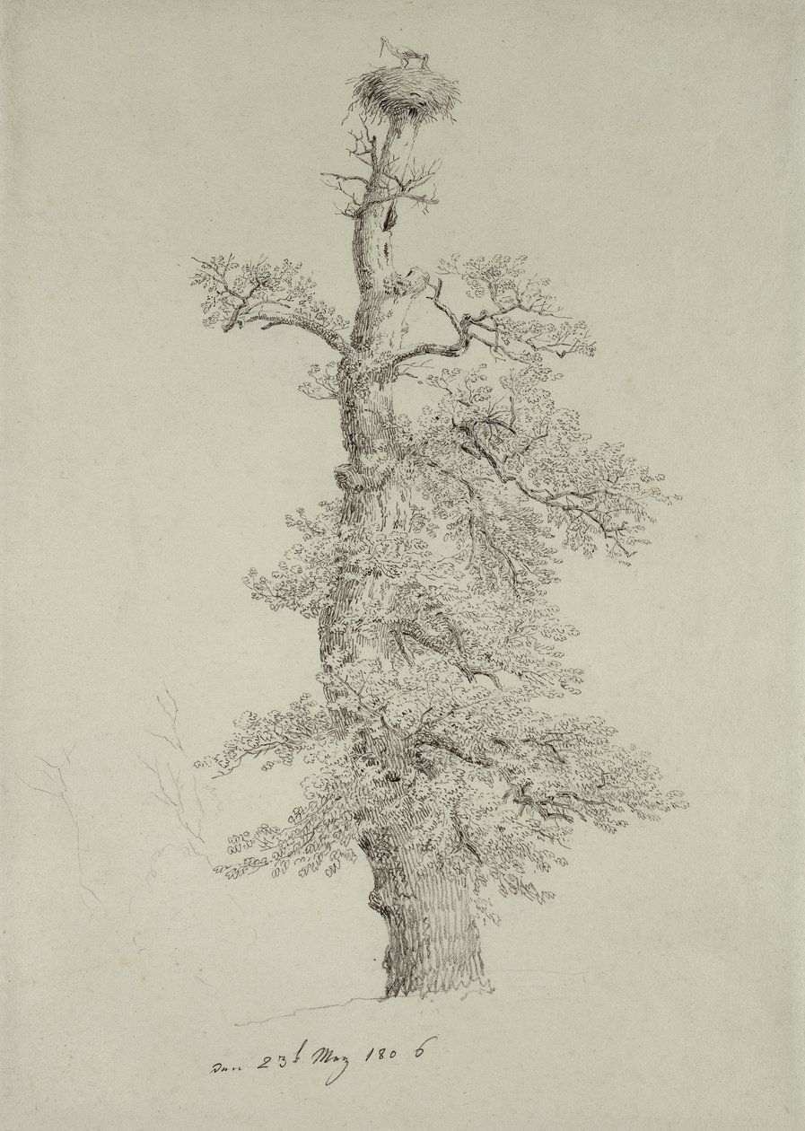 Ősi tölgyfa gólyafészekkel, 1806. május 23 alkotó: Caspar David Friedrich