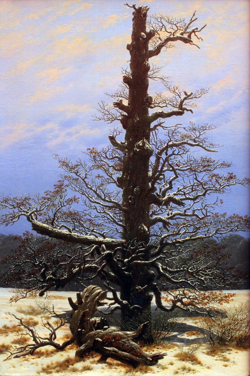 Tölgyfa a hóban alkotó: Caspar David Friedrich