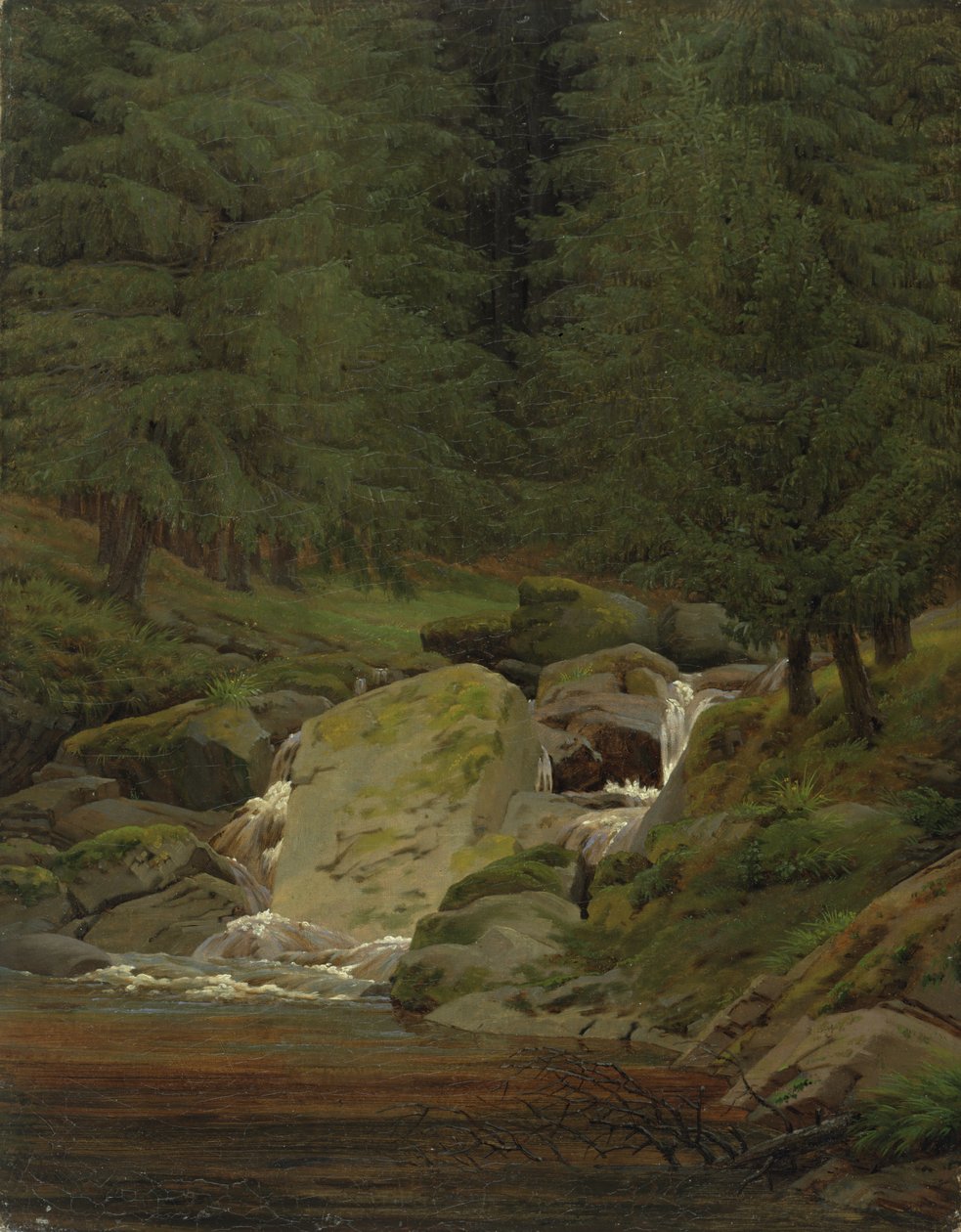 Az örökzöldek a vízesés mellett alkotó: Caspar David Friedrich