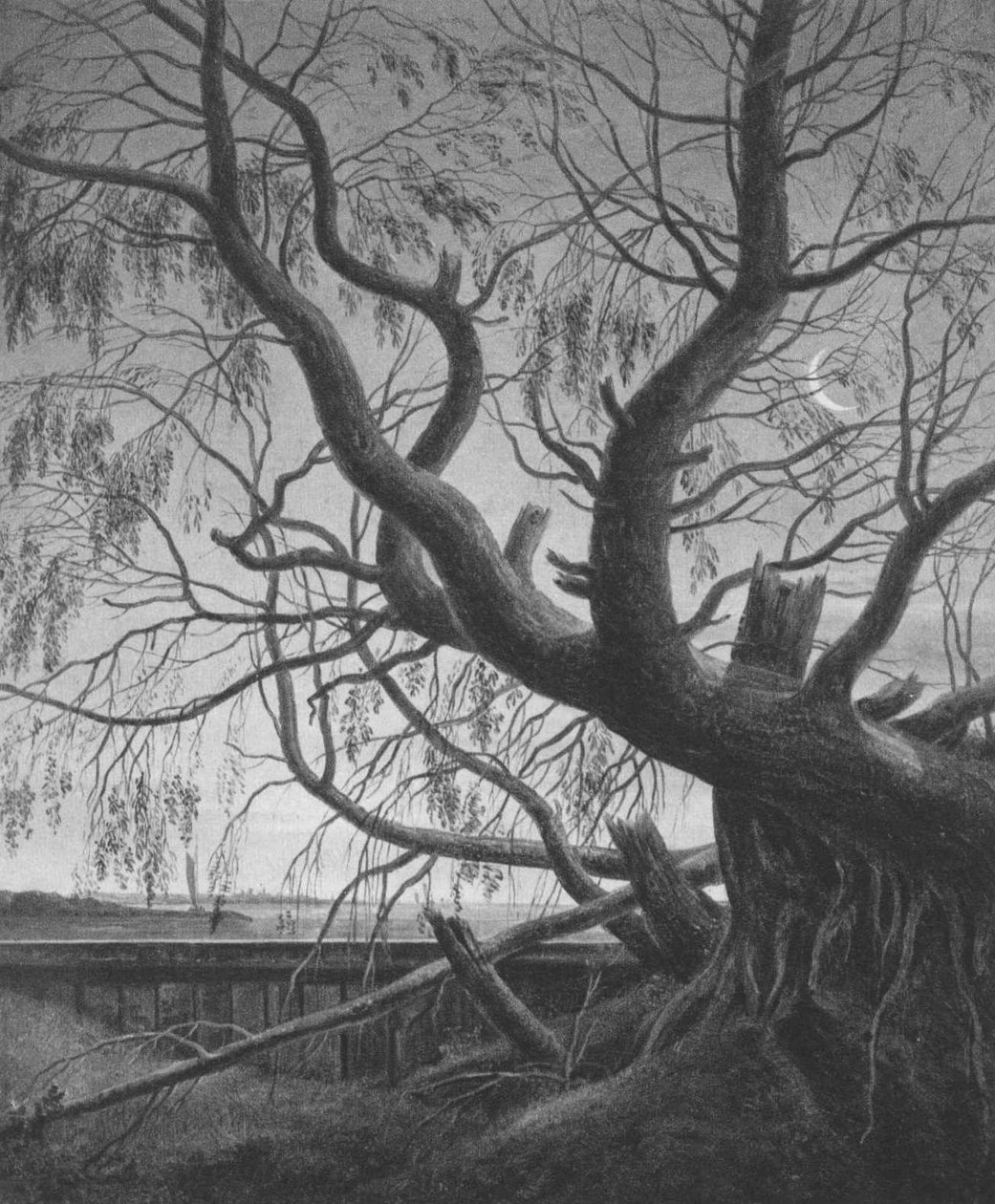 Fűz a holdfényben alkotó: Caspar David Friedrich