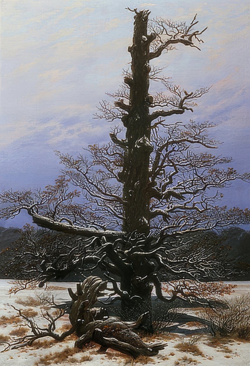 Tölgyfa a hóban. 1829 alkotó: Caspar David Friedrich
