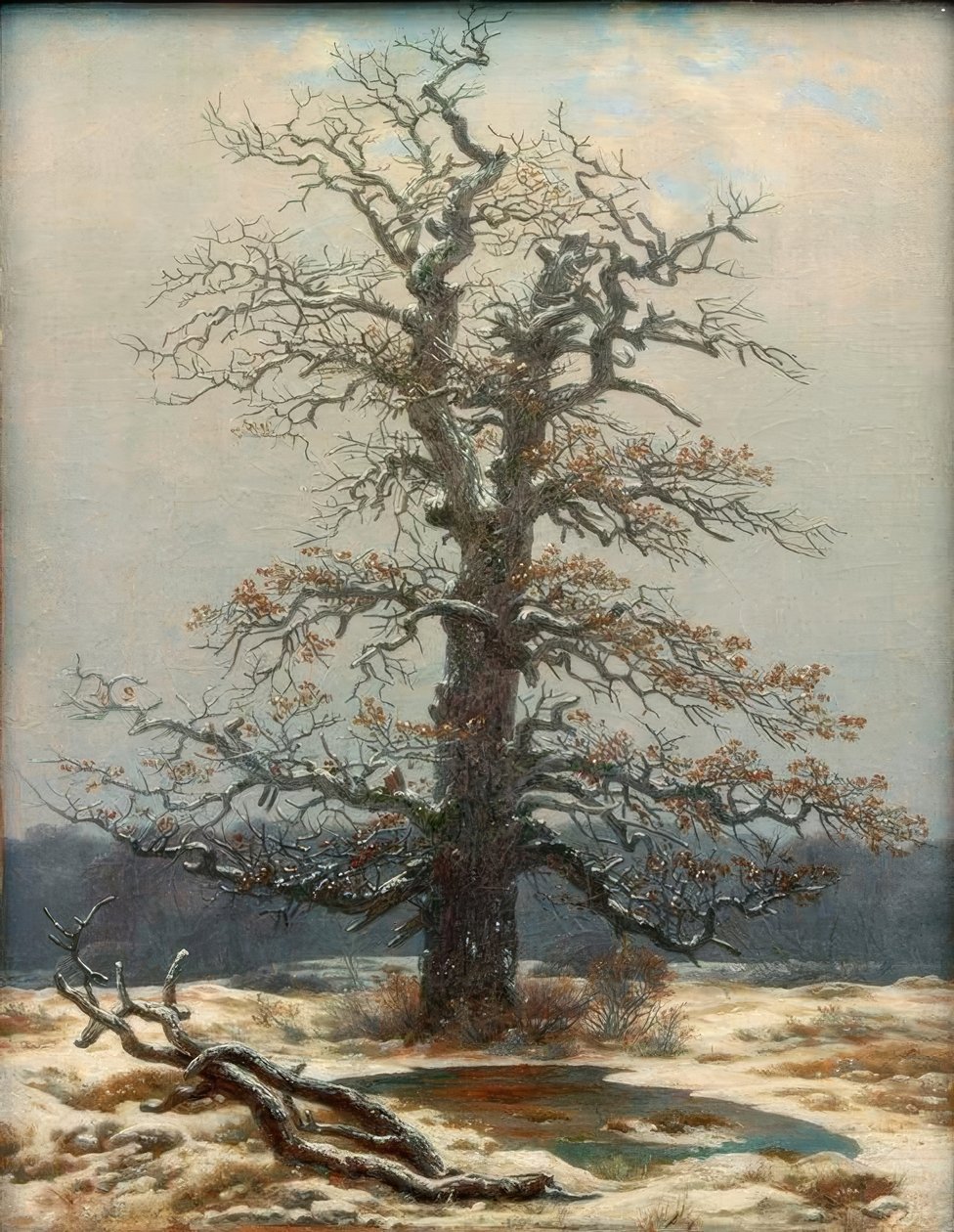 Tölgyfa a hóban alkotó: Caspar David Friedrich