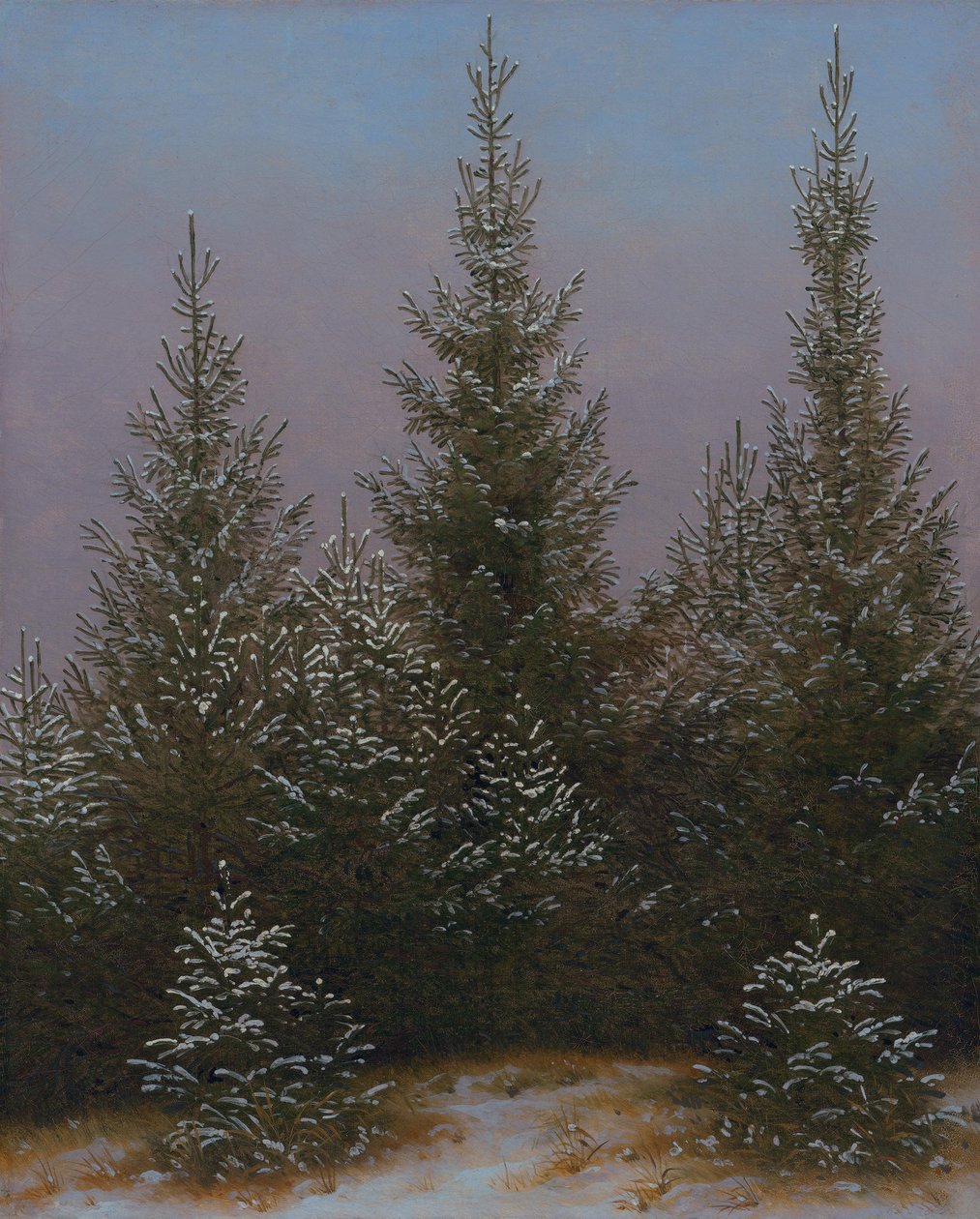 Havas fenyőbozót (A drezdai hegyvidékről I.) alkotó: Caspar David Friedrich