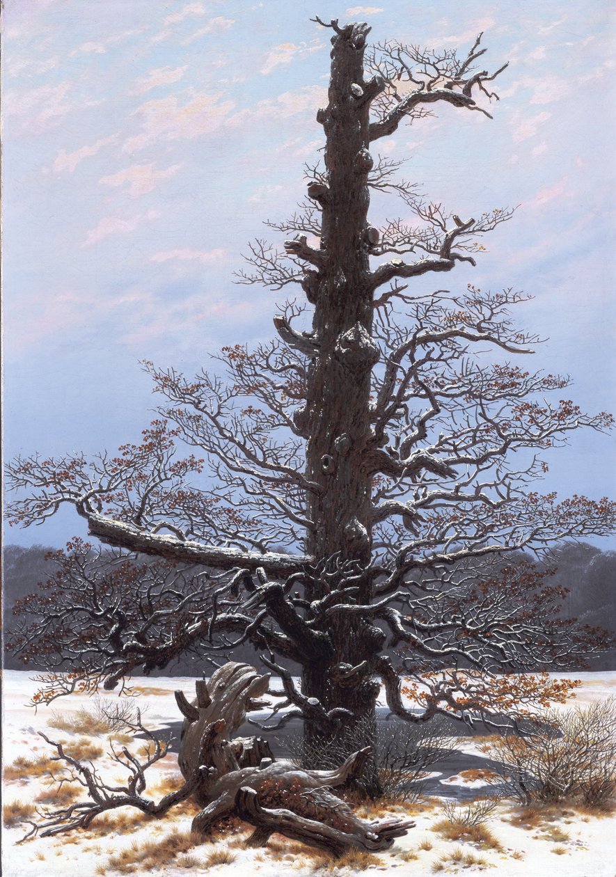 Német: Eichbaum im Schnee A tölgyfa a hóban alkotó: Caspar David Friedrich