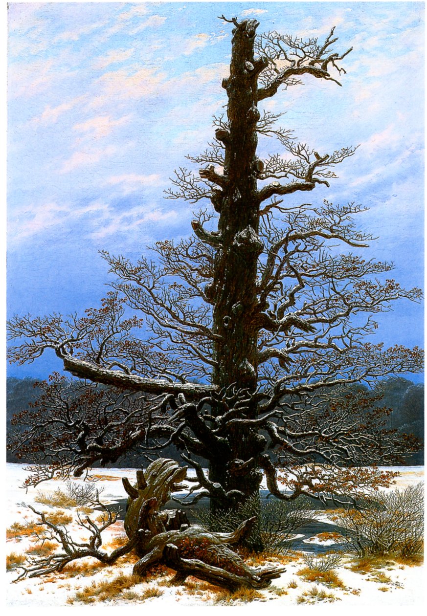 Német: Eichbaum im Schnee A tölgyfa a hóban alkotó: Caspar David Friedrich