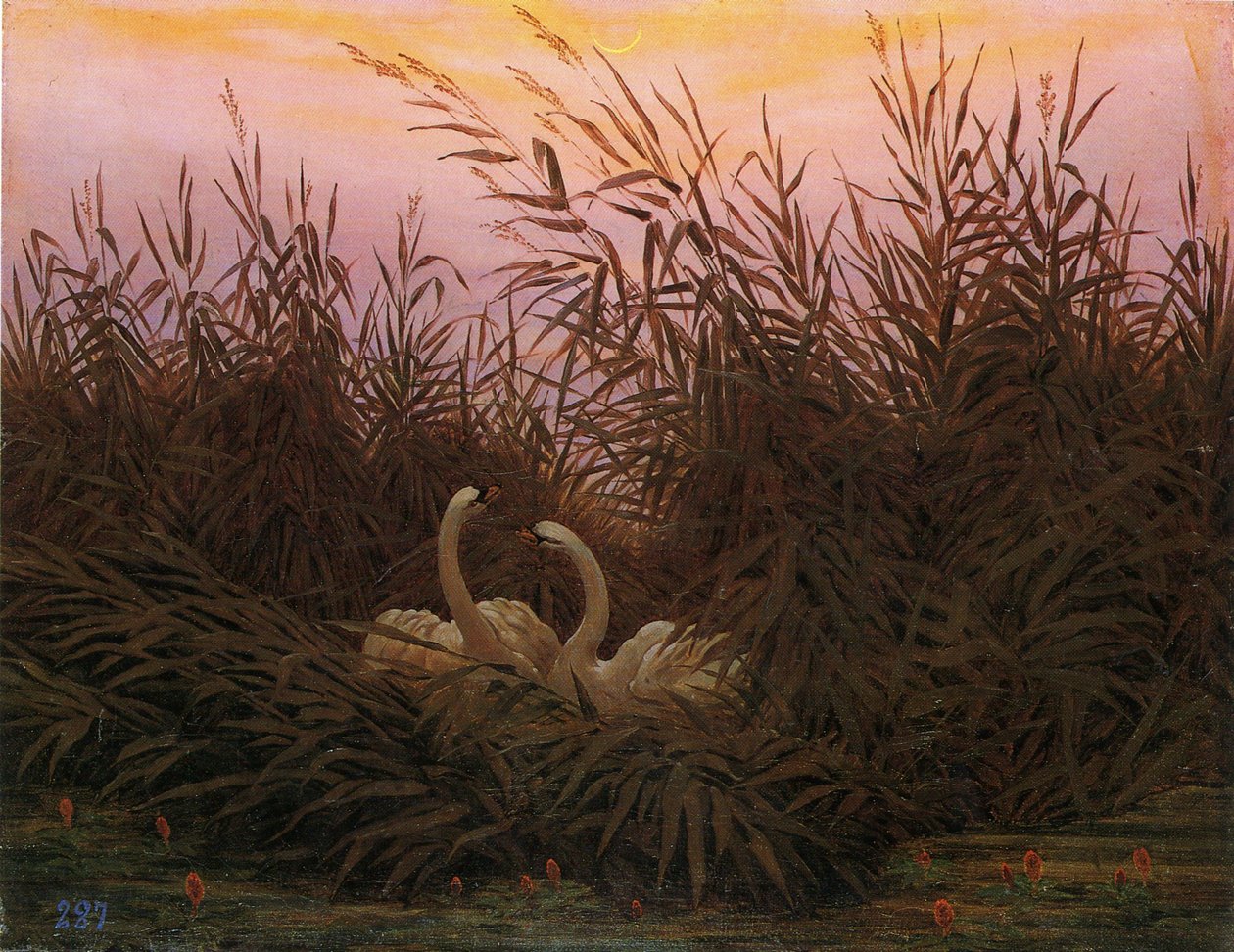 Német: Schwäne im Schilf beim ersten Morgenrot Hattyúk a nádasban az első hajnalban alkotó: Caspar David Friedrich