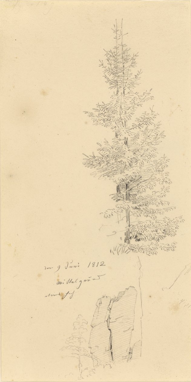 Német: Studie mit Fichten und Felsen Tanulmány lucfenyőkről és egy szikláról alkotó: Caspar David Friedrich