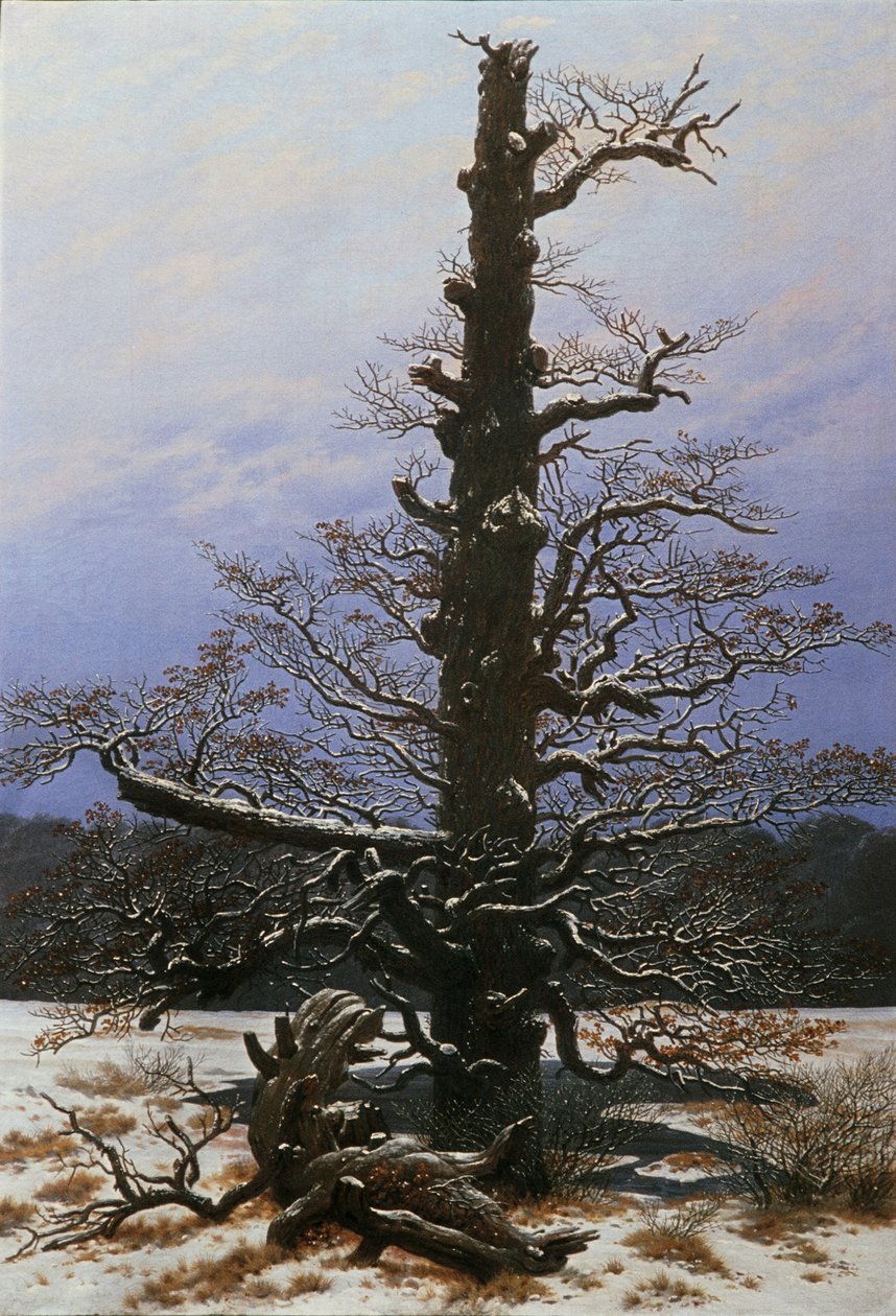 Tölgyfa a hóban alkotó: Caspar David Friedrich
