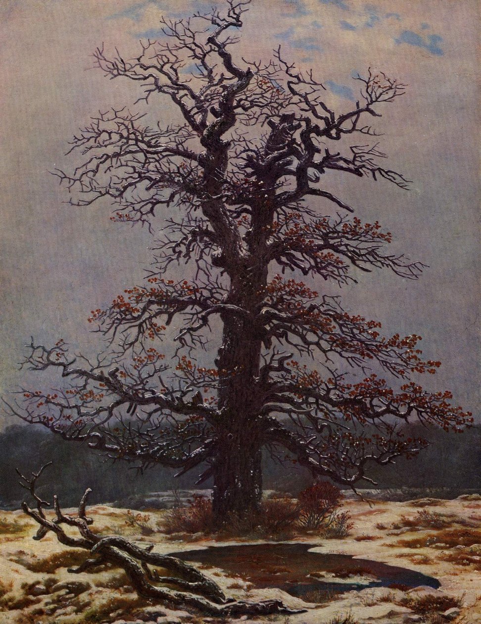 Tölgy a hóban alkotó: Caspar David Friedrich