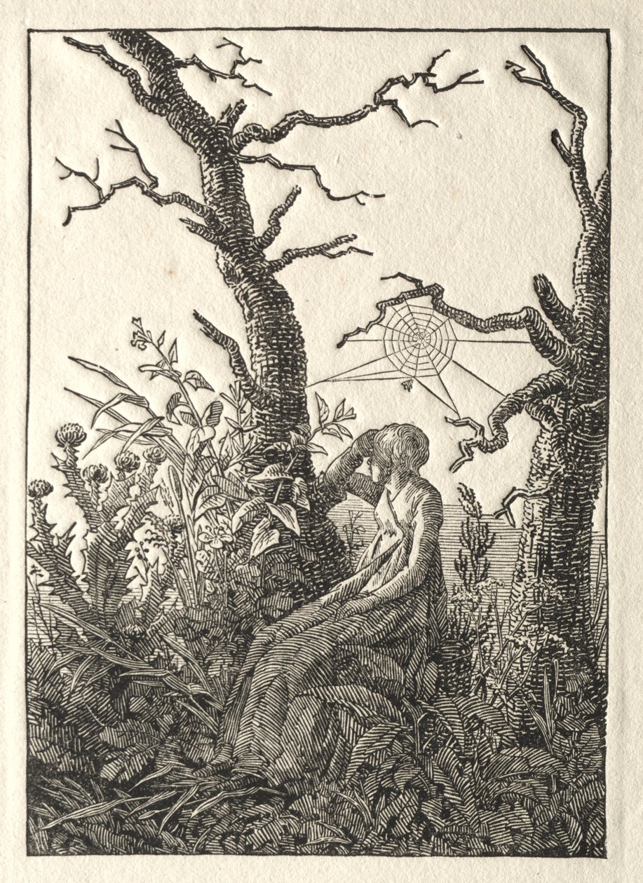 A nő a pókhálóval a csupasz fák között, 1803. alkotó: Caspar David Friedrich