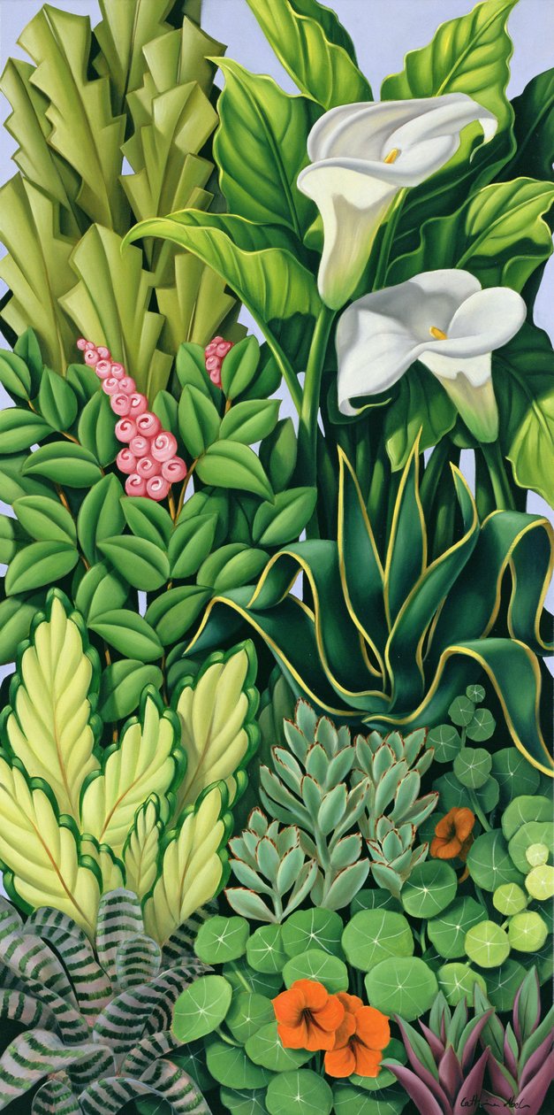 Lombozat I alkotó: Catherine Abel