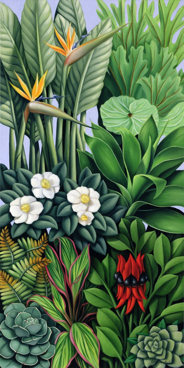 Lombozat II alkotó: Catherine Abel