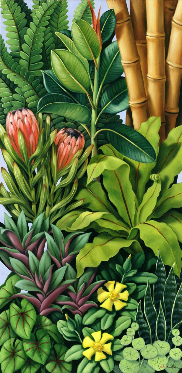 Lombozat III alkotó: Catherine Abel