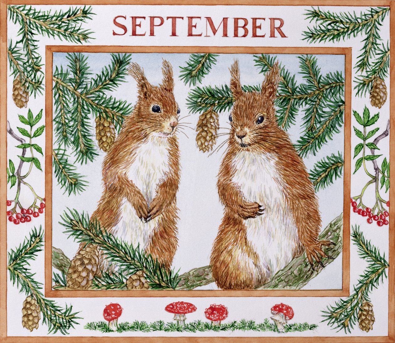 Szeptember (wc papíron) alkotó: Catherine Bradbury