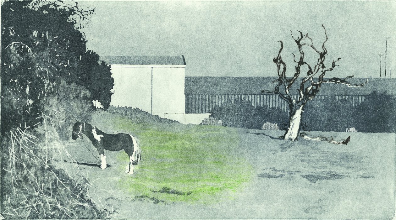 Facing new growth, 2016 (Aquatinta metszet és száraztű) alkotó: Catherine Sutcliffe-Fuller