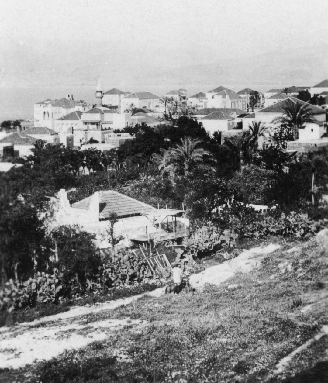 Bejrút az American College-ból, Libanon, 1927-c1931. alkotó: Cavanders Ltd
