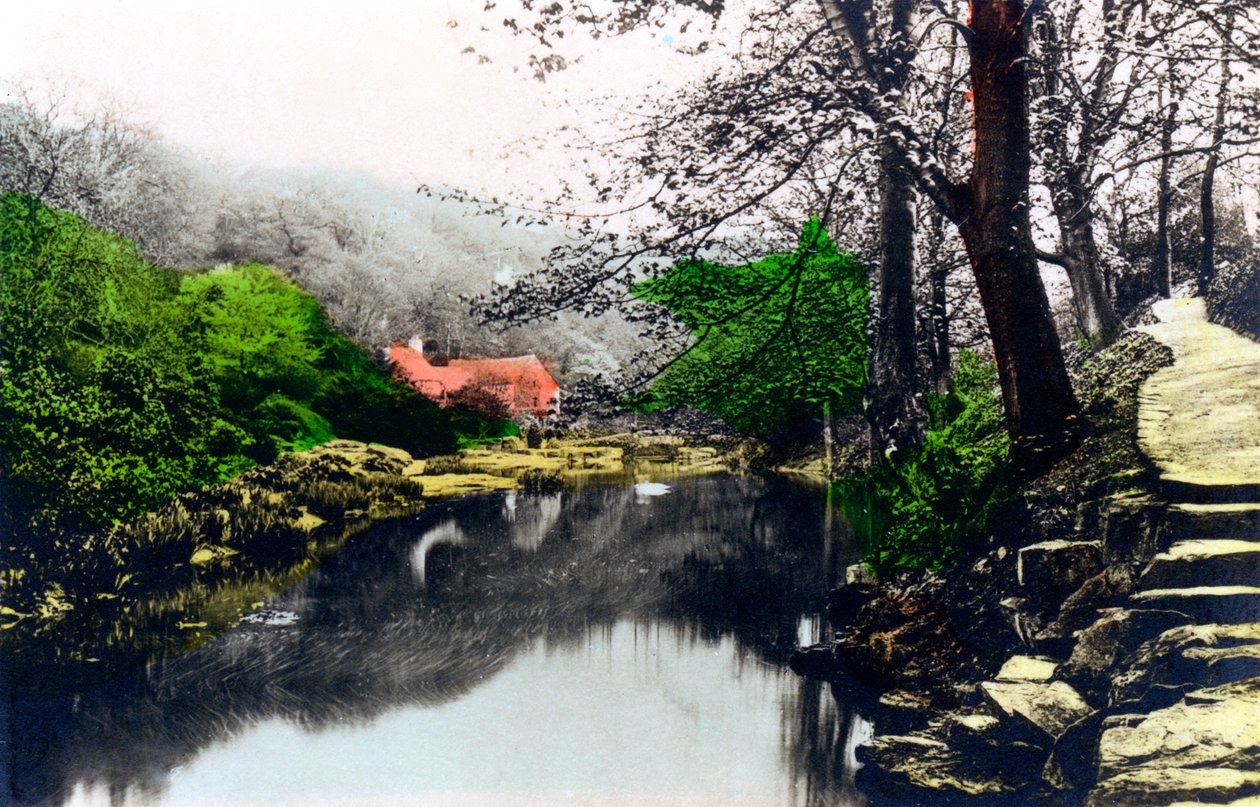 Jesmond Dene, Newcastle-upon-Tyne, Tyne & Wear, 1926. alkotó: Cavenders Ltd