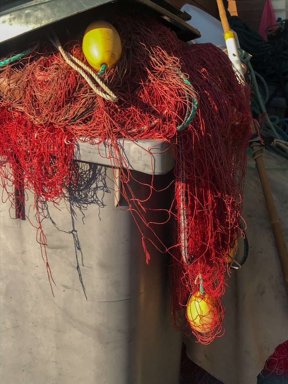 Összetétel - Nets, 2019 (fotó) alkotó: Cécile Jamet