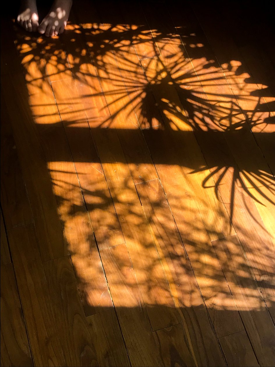 Kompozíció - Árnyékok, 2019 (fotó) alkotó: Cécile Jamet