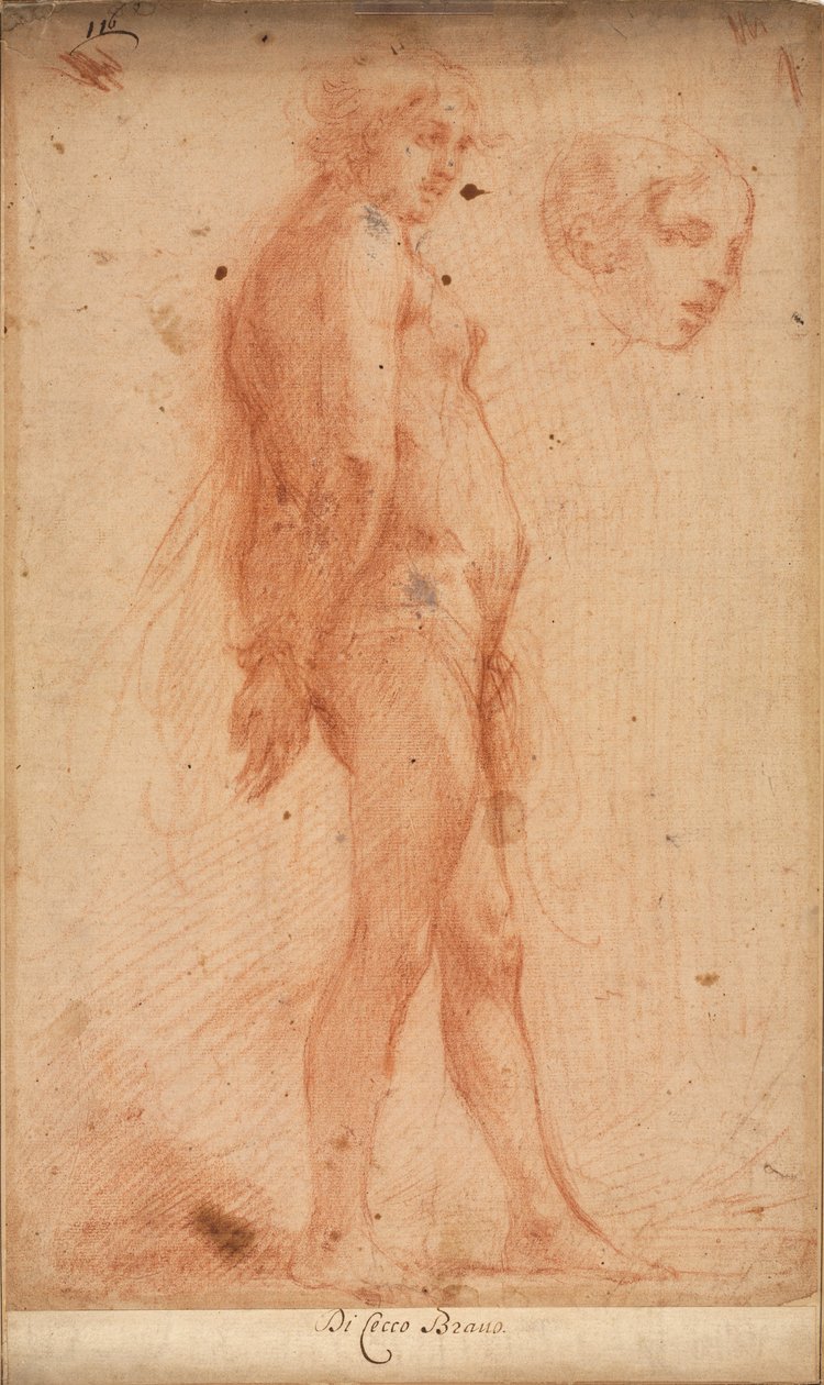 Egy álló férfi akt tanulmányozása, a fej tanulmányozása háromnegyedes profilban, c. 1640. alkotó: Cecco Bravo