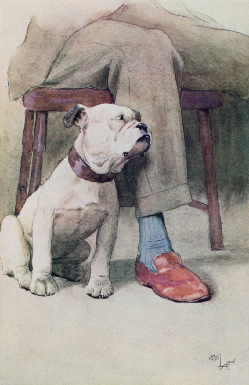 Bulldog (toll és tinta, és papíron mossa) alkotó: Cecil Charles Windsor Aldin