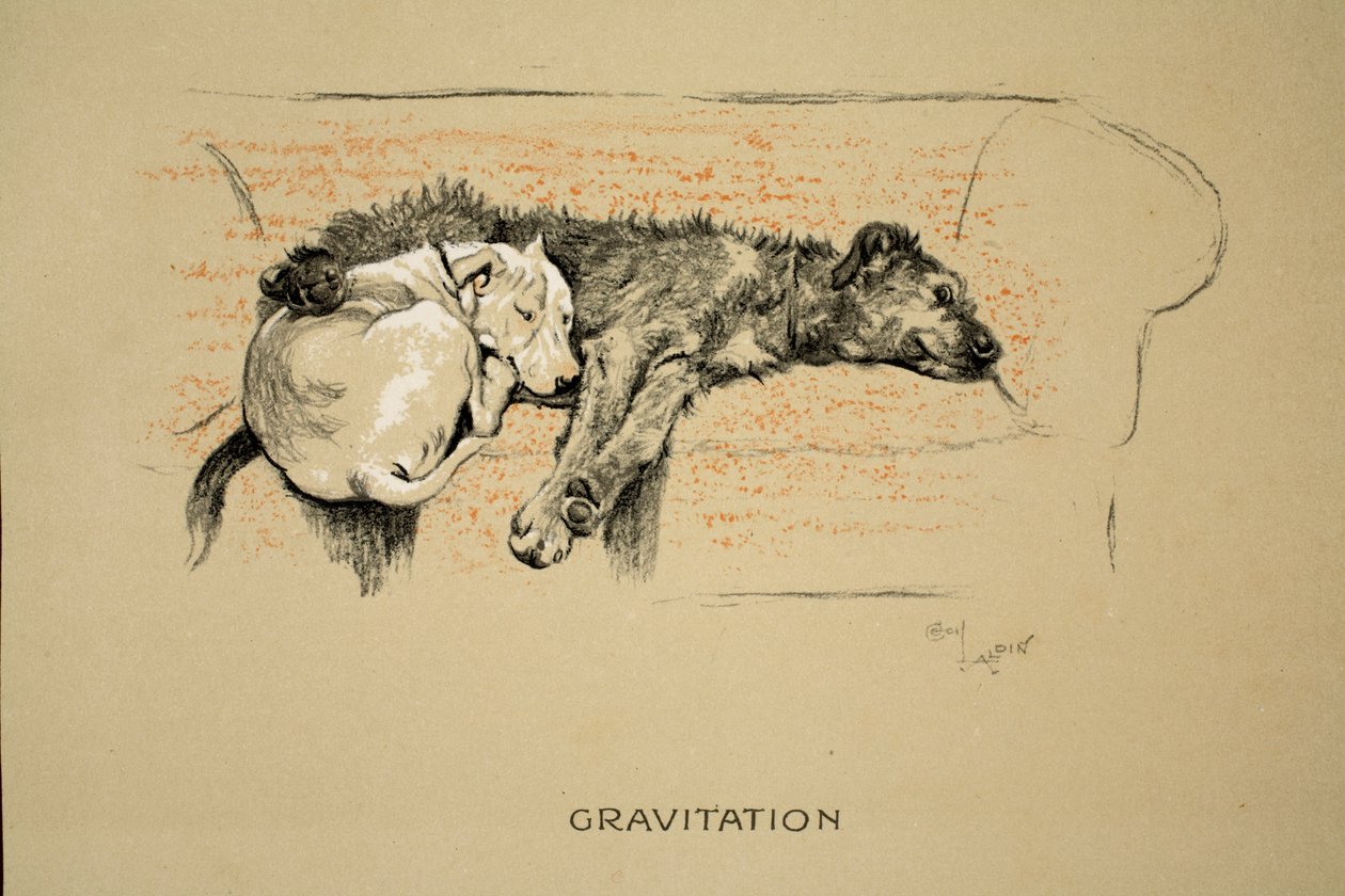 Gravitáció, 1930, 